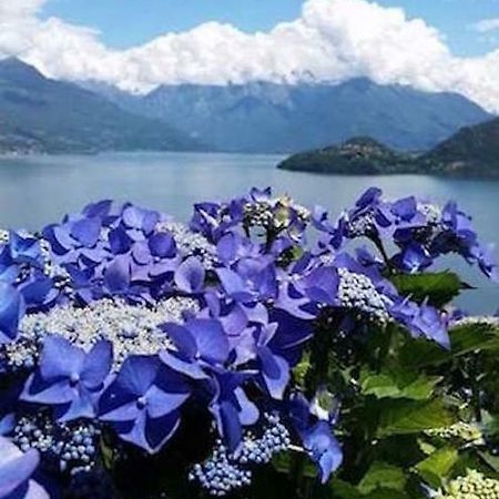 Agriturismo Piccolo Paradiso Pianello Del Lario ภายนอก รูปภาพ