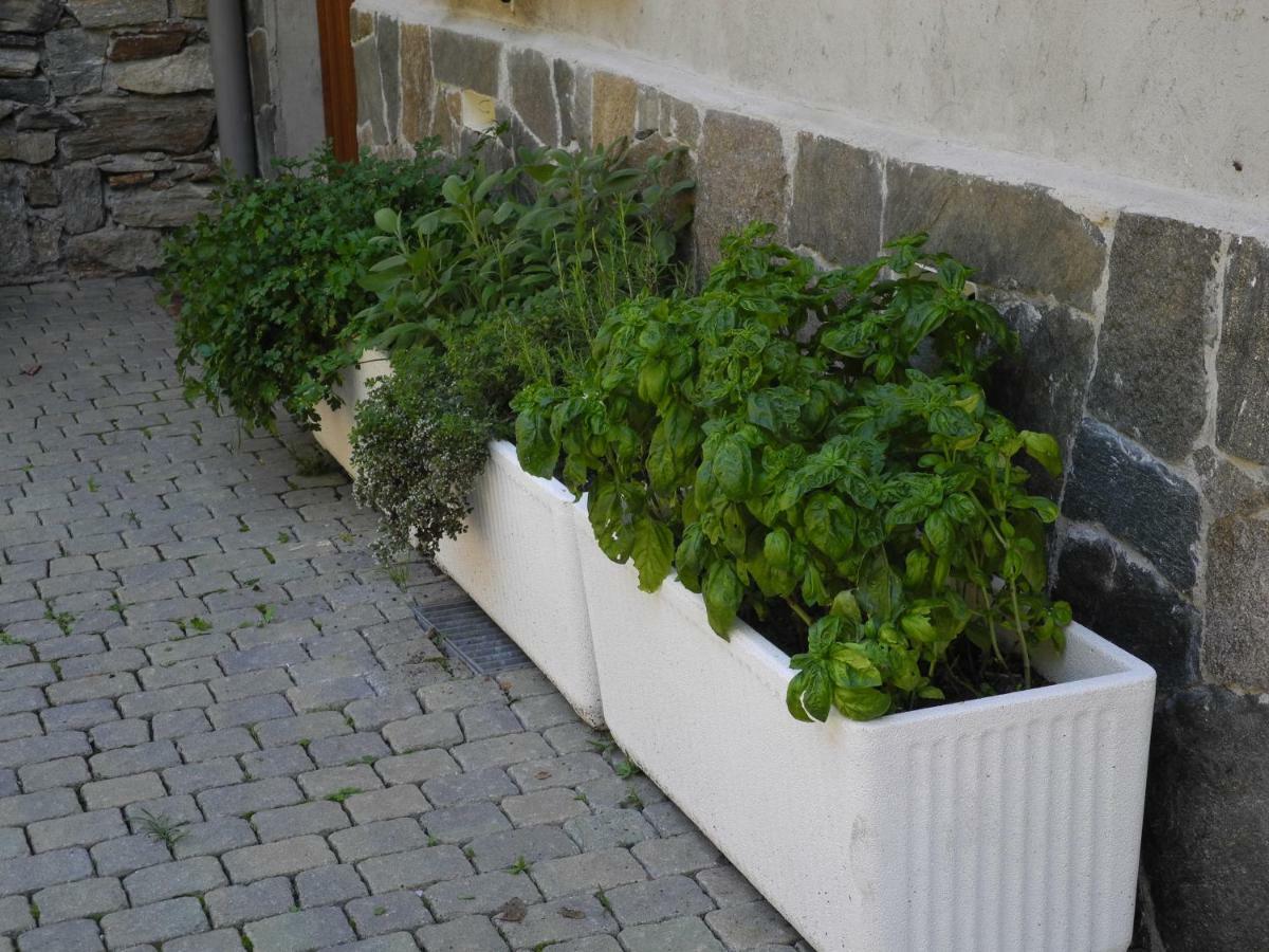 Agriturismo Piccolo Paradiso Pianello Del Lario ภายนอก รูปภาพ