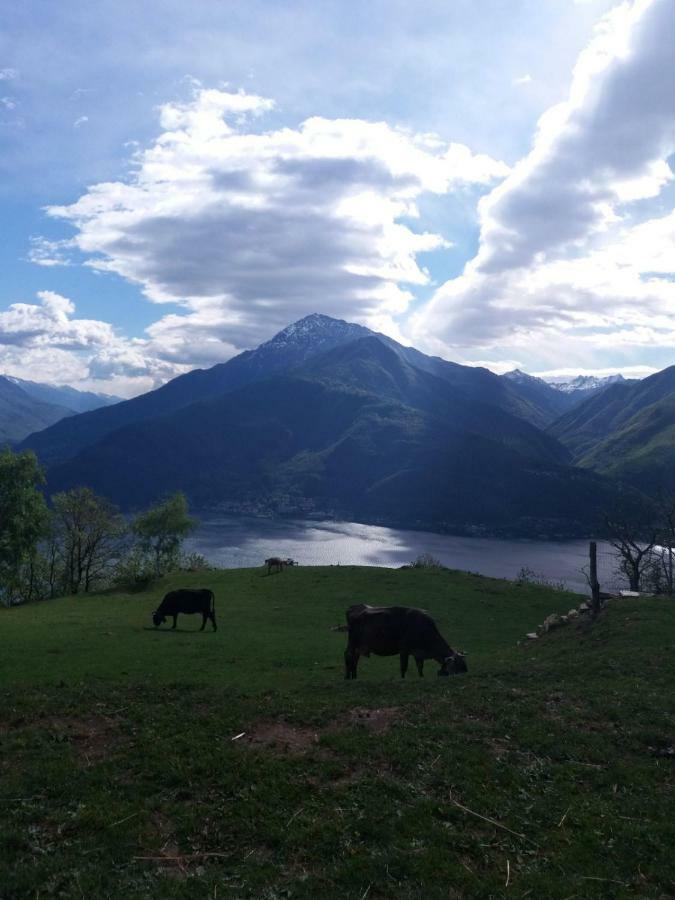 Agriturismo Piccolo Paradiso Pianello Del Lario ภายนอก รูปภาพ