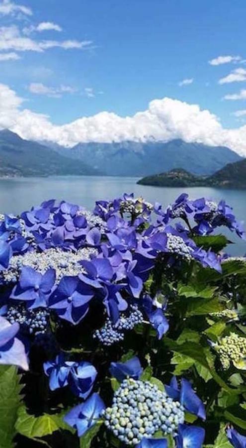 Agriturismo Piccolo Paradiso Pianello Del Lario ภายนอก รูปภาพ