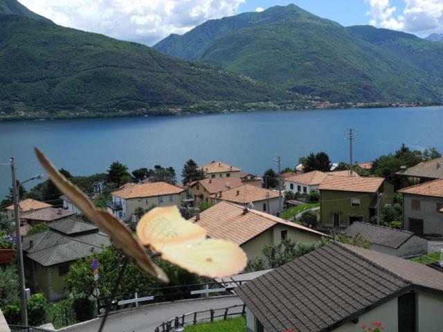 Agriturismo Piccolo Paradiso Pianello Del Lario ภายนอก รูปภาพ