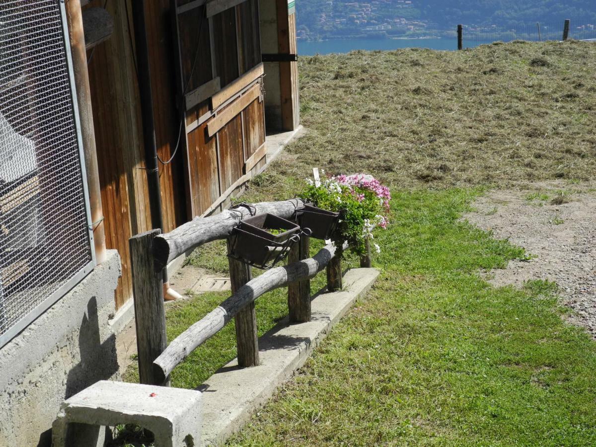 Agriturismo Piccolo Paradiso Pianello Del Lario ภายนอก รูปภาพ