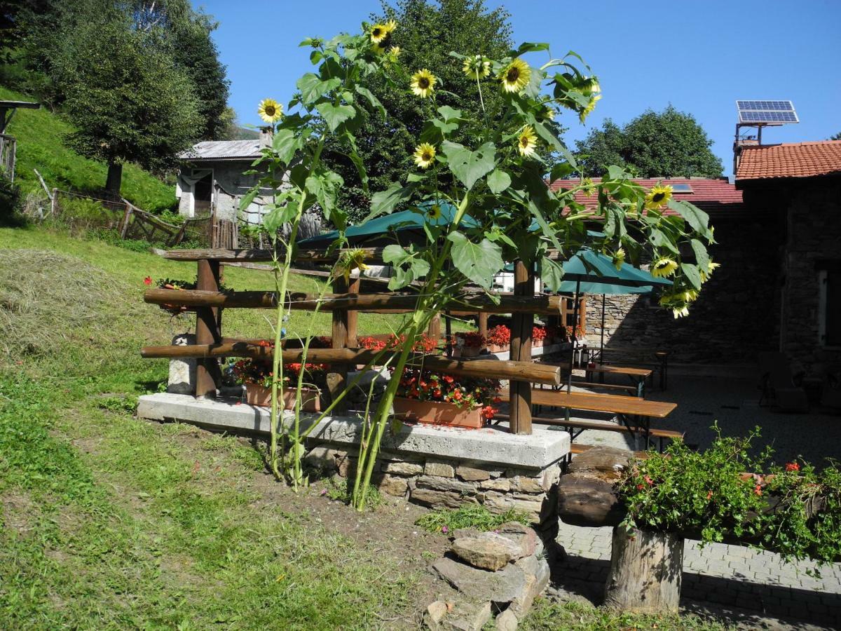 Agriturismo Piccolo Paradiso Pianello Del Lario ภายนอก รูปภาพ